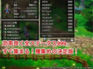 ネタバレ注意！ドラクエ3HD-2Dリメイクで効率の良い”種集め”の決定版！